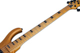 Schecter / Riot-5 Session