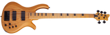 Schecter / Riot-5 Session