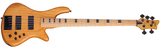 Schecter / Stiletto-Session 5