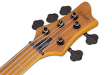 Schecter / Stiletto-Session 5