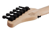 Schecter / Sun Valley Super Shredder PT FR