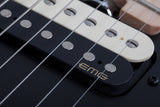 Schecter / Sun Valley Super Shredder PT FR