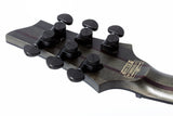 Schecter / C-1 FR Apocalypse