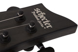 Schecter / C-1 FR Apocalypse