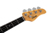 Schecter / Diamond-P Custom