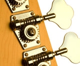 Schecter / Diamond-P Custom