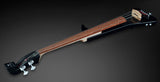 Rockbass by Warwick / Triumph Lite 4