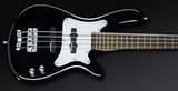 Warwick Pro series Korea / Steve Bailey 4