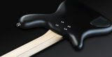 Warwick Pro series Korea / P-NUT 4