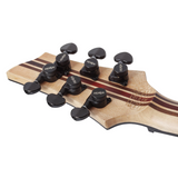 Schecter / C-1 SLS Custom