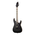 Schecter / C-1 SLS Custom