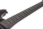 Schecter / C-1 Silver Mountain