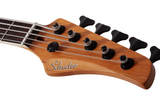 Schecter / C-5 Standard