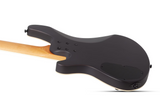 Schecter / C-5 Standard