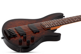 Schecter / C-5 Standard