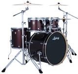 Ludwig / Evolution
