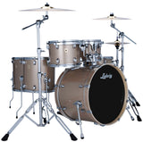 Ludwig / Evolution