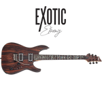 Schecter / C-1 Exotic (Ebony)