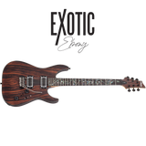 Schecter / C-1 Exotic (Ebony)