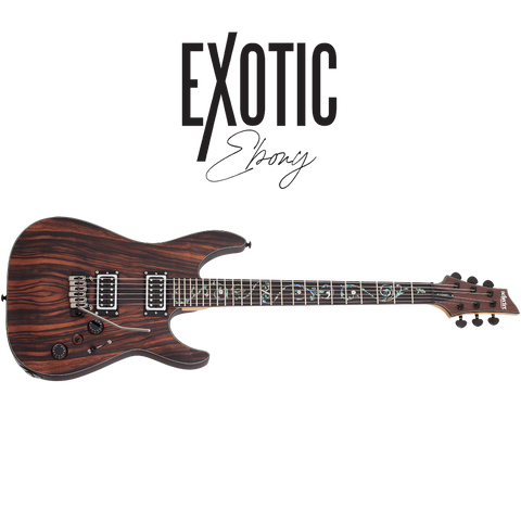 Schecter / C-1 Exotic (Ebony)