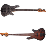 Schecter / C-5 Standard