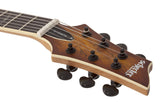 Schecter / C-1 Exotic (Spalted Maple)