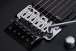 Schecter / Damien Platinum-6 FR Sustainiac