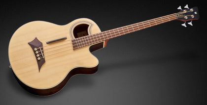 Warwick / Alien Deluxe 4 String