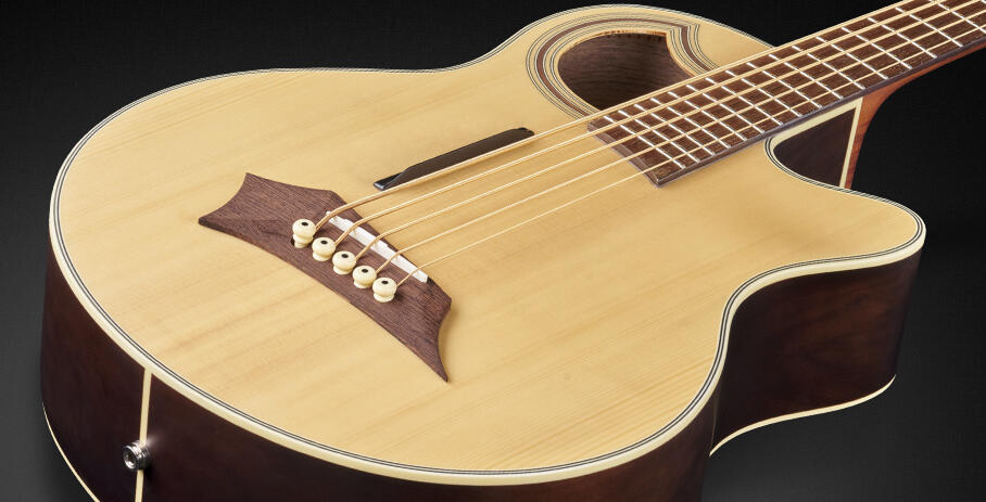 Warwick / Alien Deluxe 5 String – Asia Music (2518) Co.,Ltd