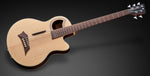 Warwick / Alien Deluxe Thinline Hybrid 5 String