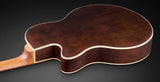 Warwick / Alien Deluxe Thinline Hybrid 5 String